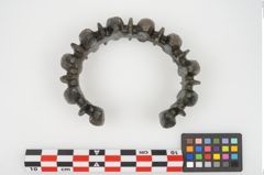 Foto von Bronzebuckelarmreif (NHMW-PRAE-025619)
